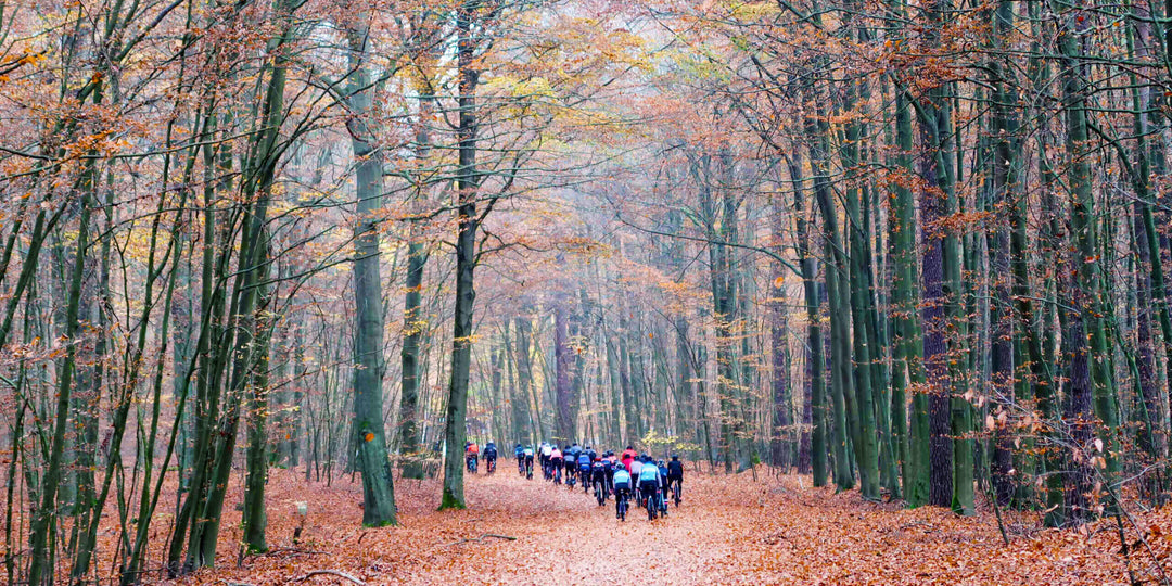 Campfire Chats with Chris and Henrik