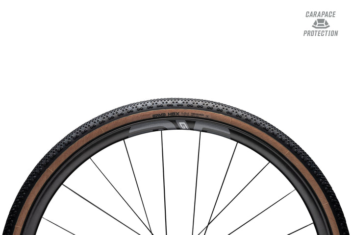 HEX Carapace Gravel Tires